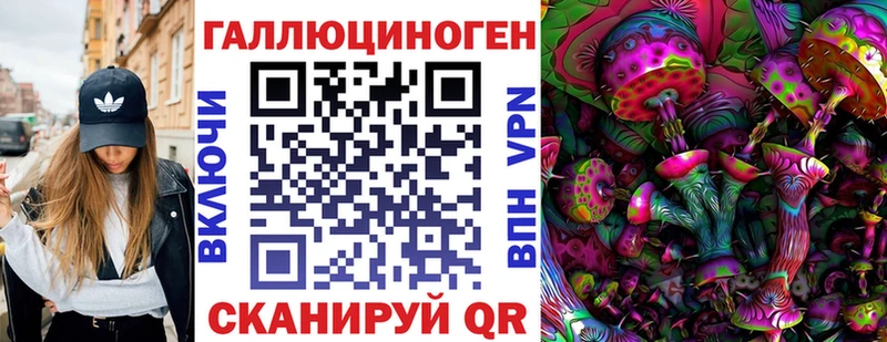 Галлюциногенные грибы Psilocybe  Купить закладки  Верхняя Тура 
